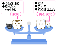 口の中の働きについて