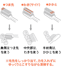 図：歯ブラシの使い方
